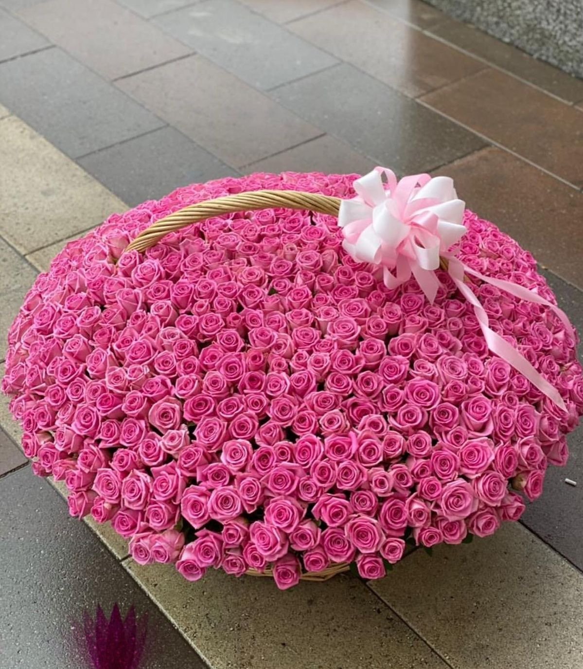 Pink roses