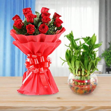 Red Radiance Birthday Roses